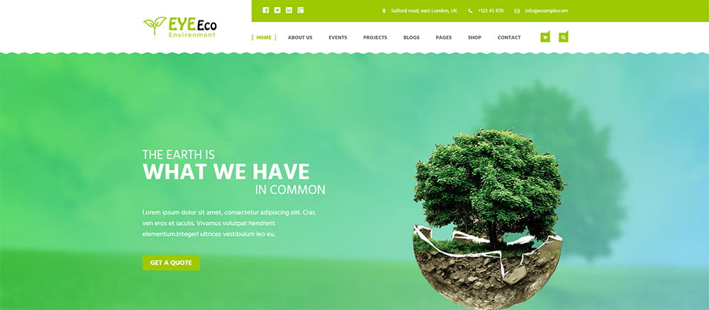 blog-lydiacalero-disenowebemprendedoras-psicologia-color-verde